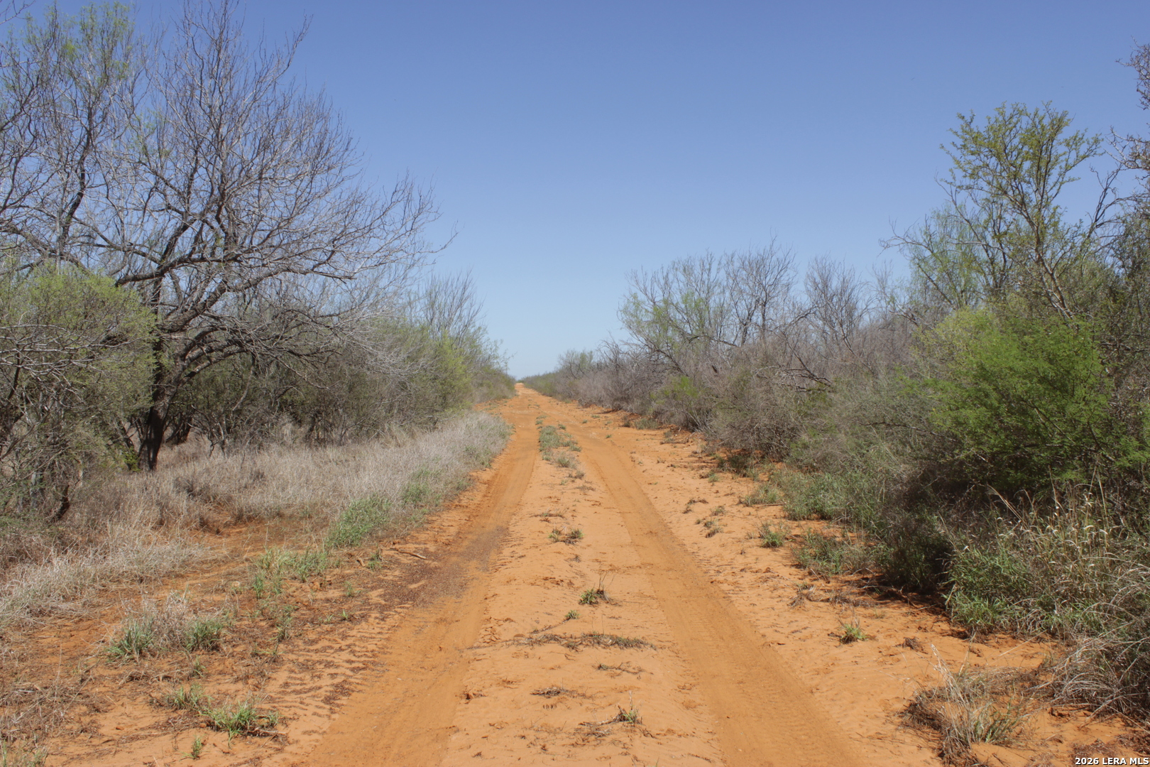 200 Rogers Ranch Road Big Wells, TX 78830 - Photo 8 of 13