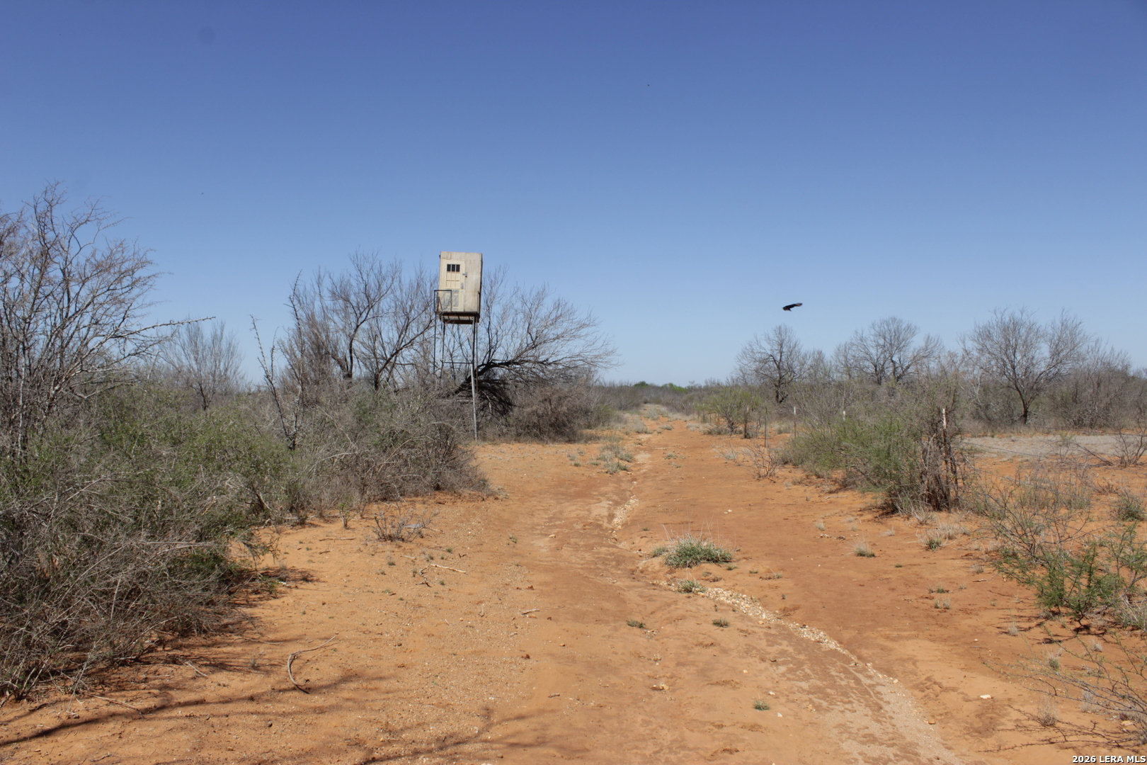 200 Rogers Ranch Road Big Wells, TX 78830 - Photo 10 of 13