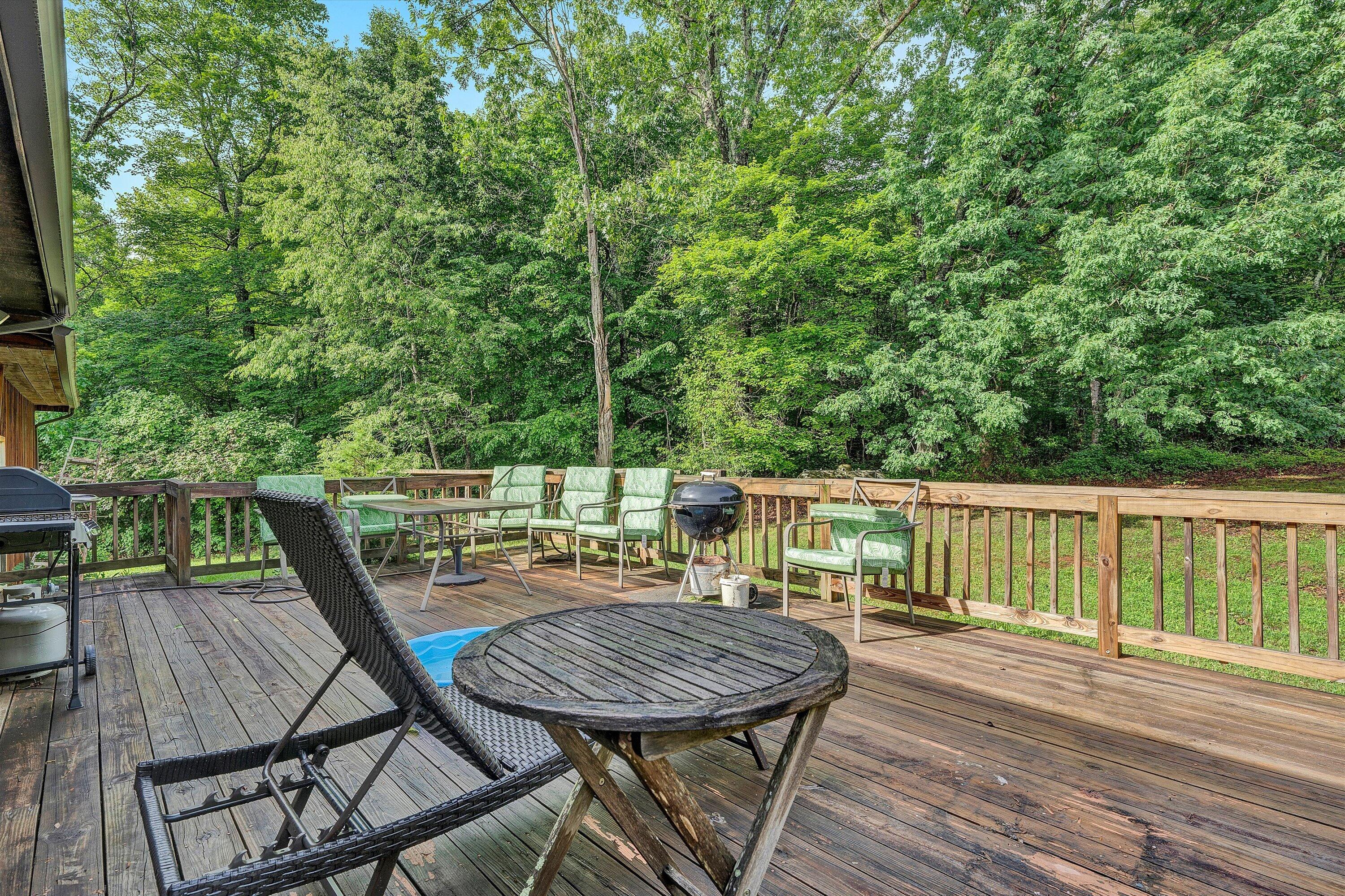 1550 Vernon Lane Blue Ridge, VA 24064 - Photo 18 of 45 18-SGP-00940