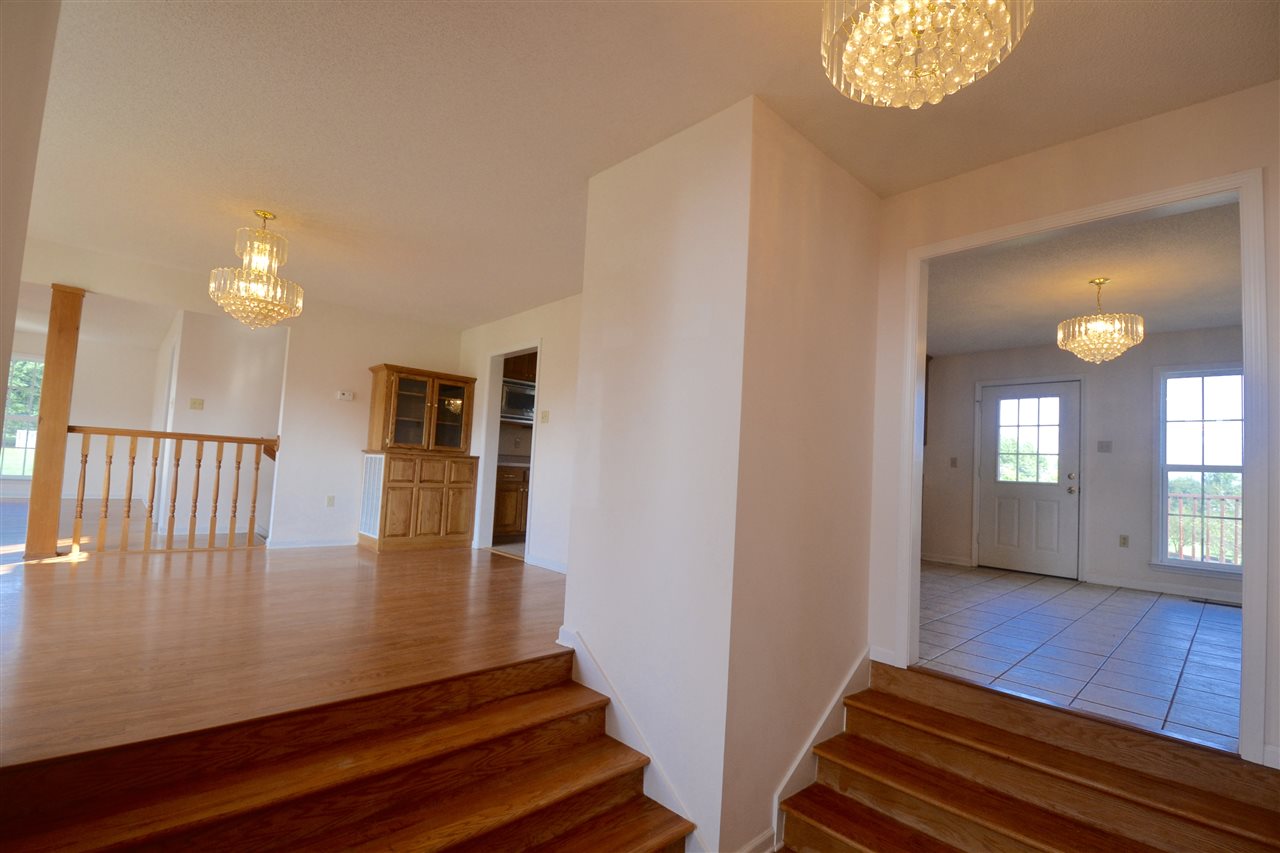 24 Phillips Road Brighton, TN 38011 - Photo 13 of 23 Gallery Image 13