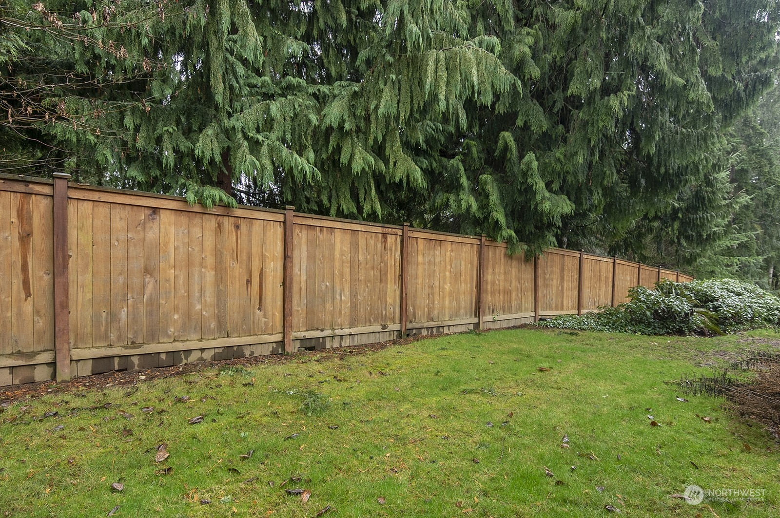 14401 Southeast Petrovitsky Road, Unit D105 Renton, WA 98058 - Photo 21 of 25 a view of a backyard with wooden fence