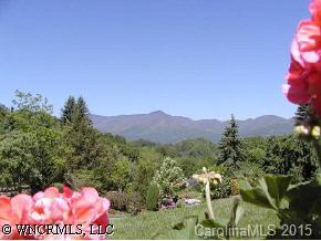 40 Wolfpen Road Waynesville, NC 28786 - Photo 3 of 9 a view of a with a big yard