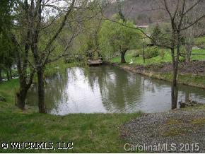 40 Wolfpen Road Waynesville, NC 28786 - Photo 9 of 9 a view of a lake view