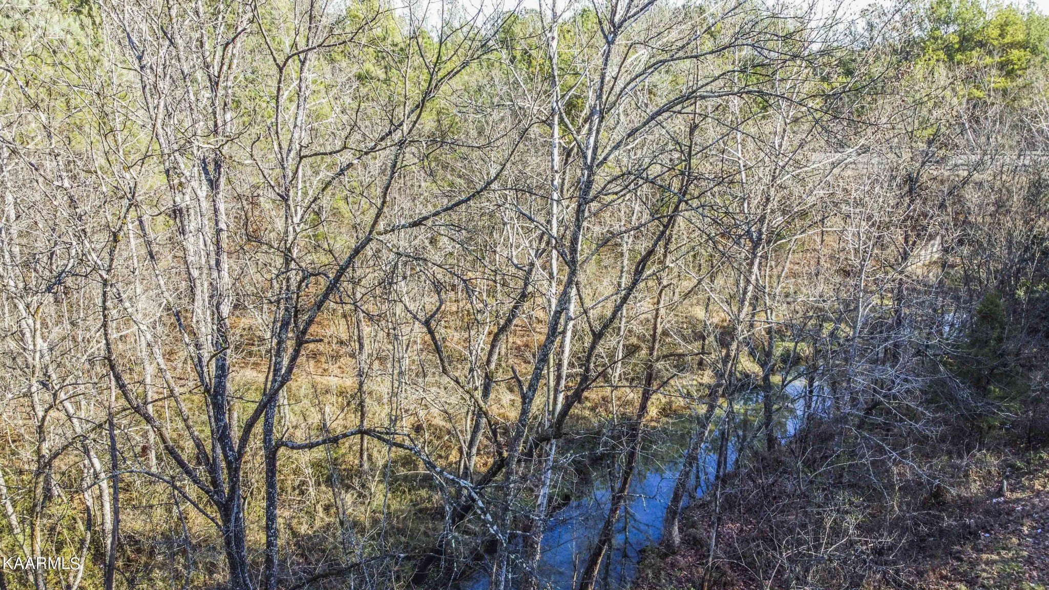 0 Watkins Road East Loudon, TN 37774 - Photo 13 of 17 a backyard of a house with lots of trees