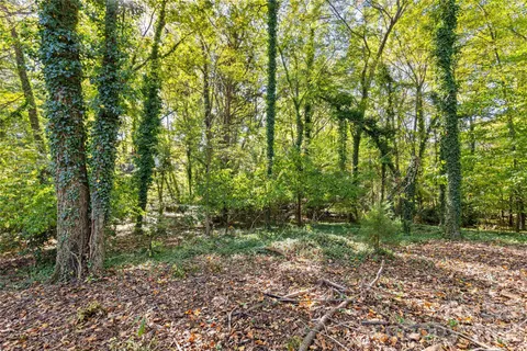a view of outdoor space and trees