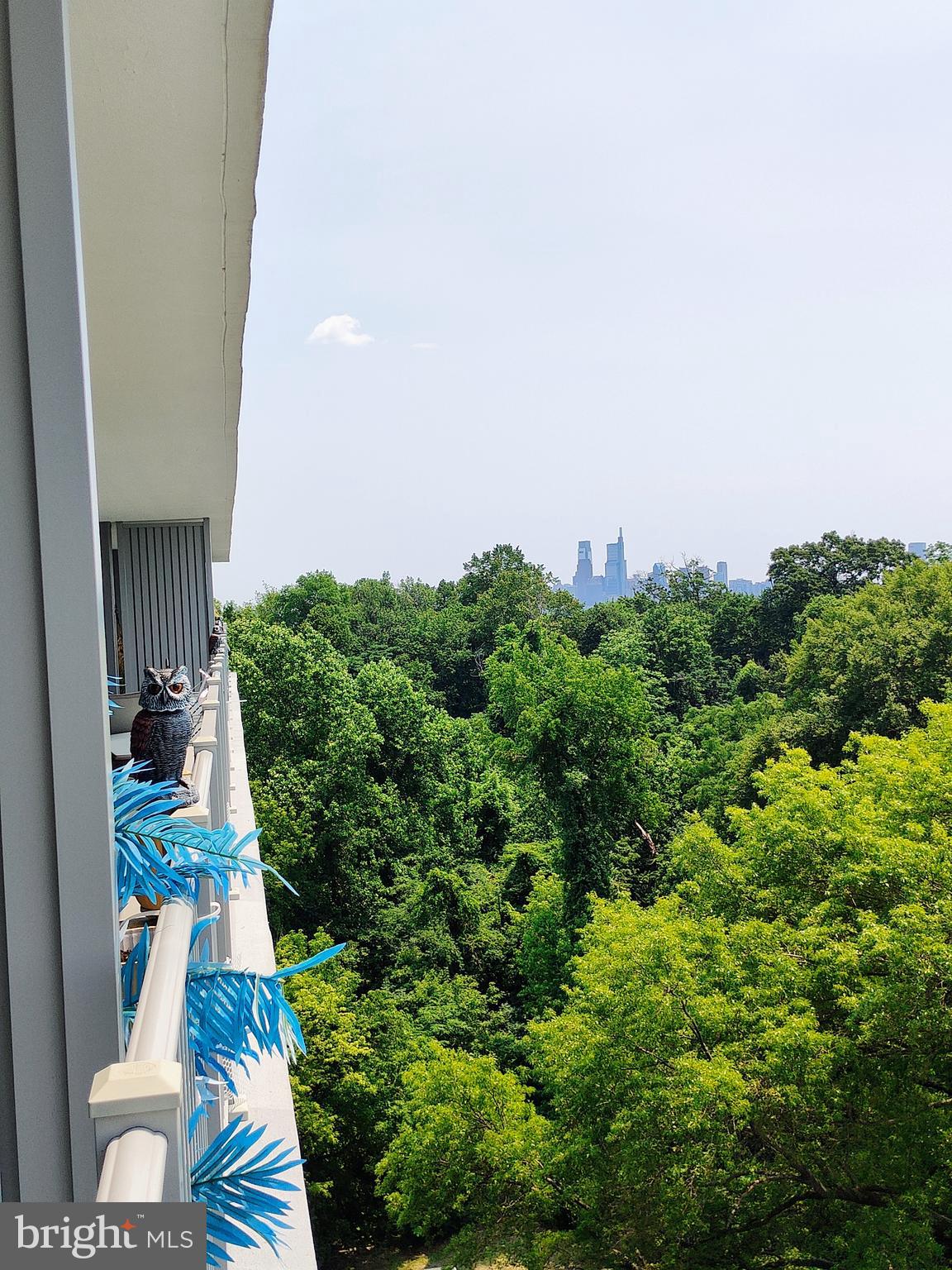 3900 West Ford Road, Unit 10H Philadelphia, PA 19131 - Photo 2 of 13 Gallery Image 2