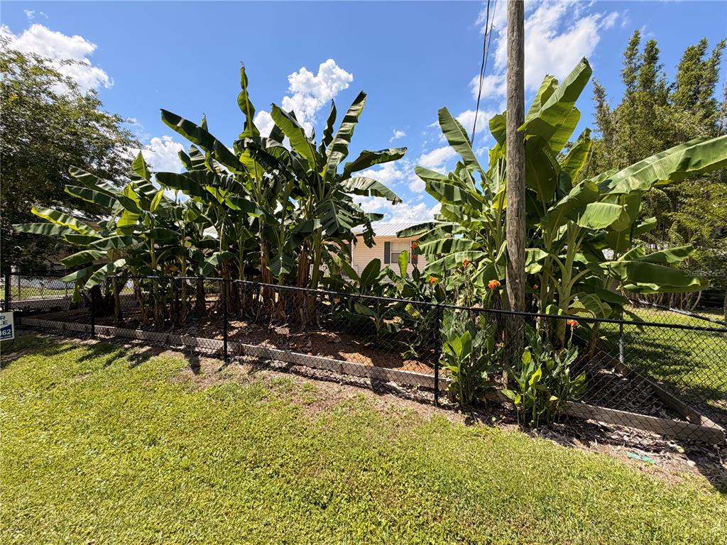 24521 Alligator Road Astor, FL 32102 - Photo 40 of 51 a view of a lake with a tree