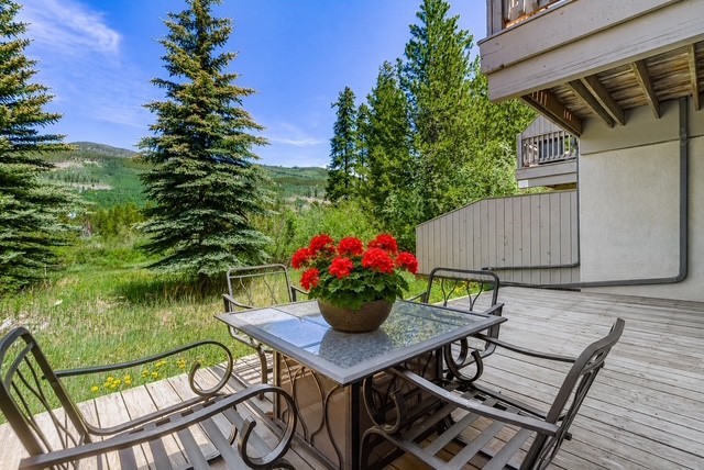 1455 East Keystone Road, Unit D4 Keystone, CO 80435 - Photo 23 of 33