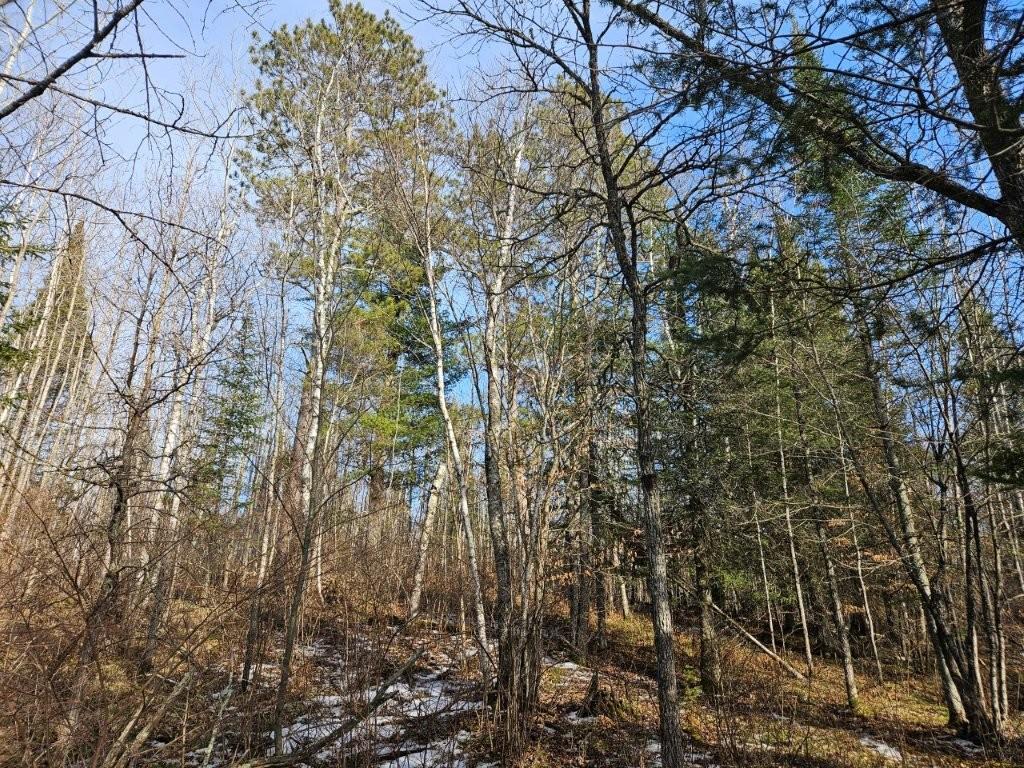 Tbd Seaberg Lane Bagley, MN 56621 - Photo 12 of 27