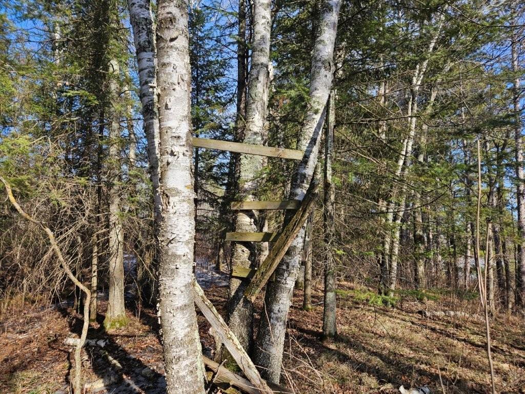 Tbd Seaberg Lane Bagley, MN 56621 - Photo 15 of 27