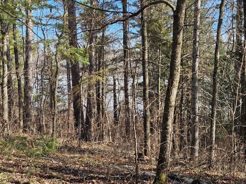 Tbd Seaberg Lane Bagley, MN 56621 - Photo 16 of 27