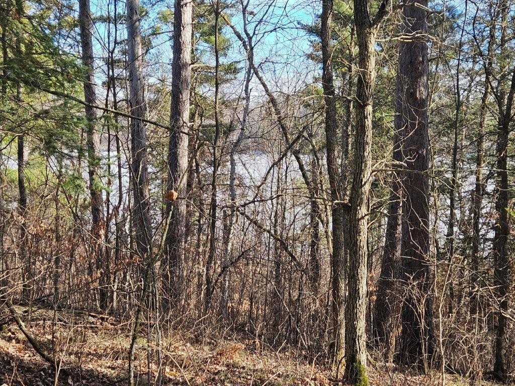 Tbd Seaberg Lane Bagley, MN 56621 - Photo 17 of 27