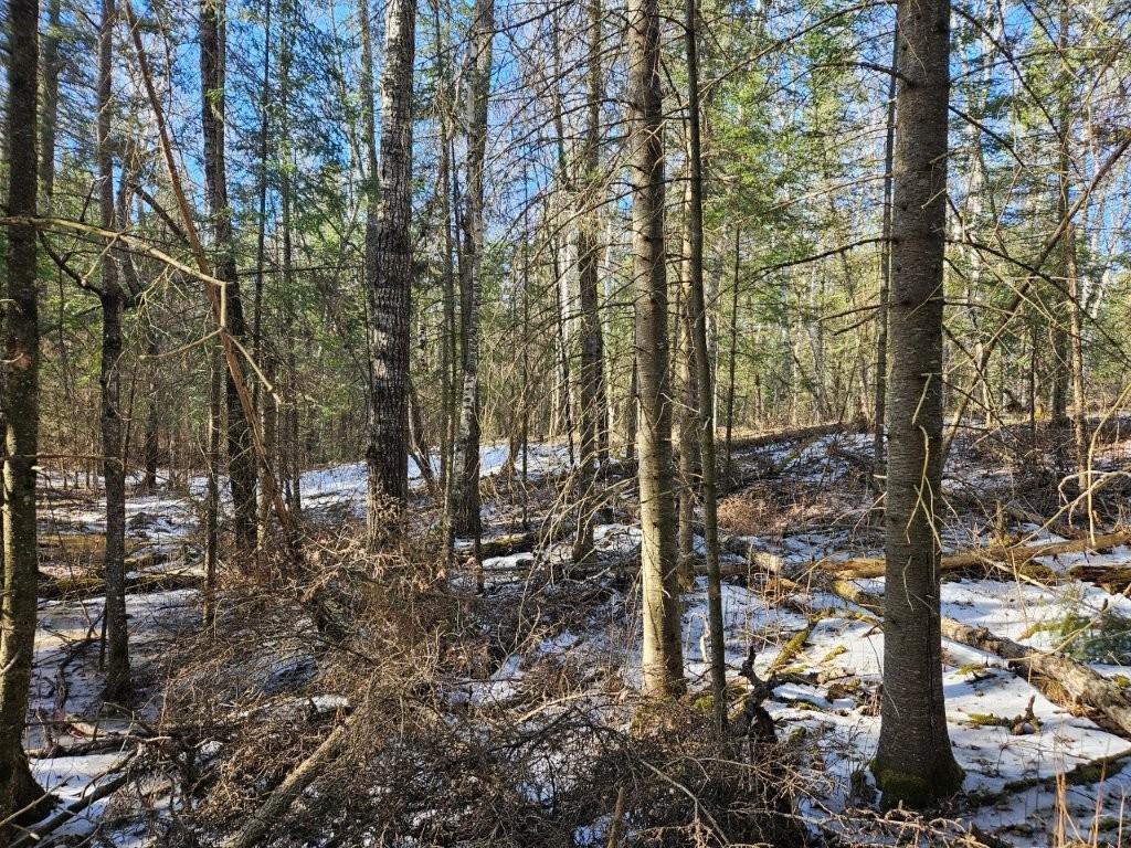 Tbd Seaberg Lane Bagley, MN 56621 - Photo 18 of 27