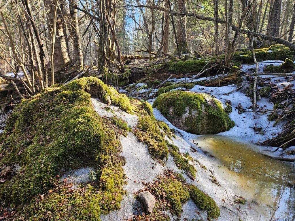 Tbd Seaberg Lane Bagley, MN 56621 - Photo 20 of 27