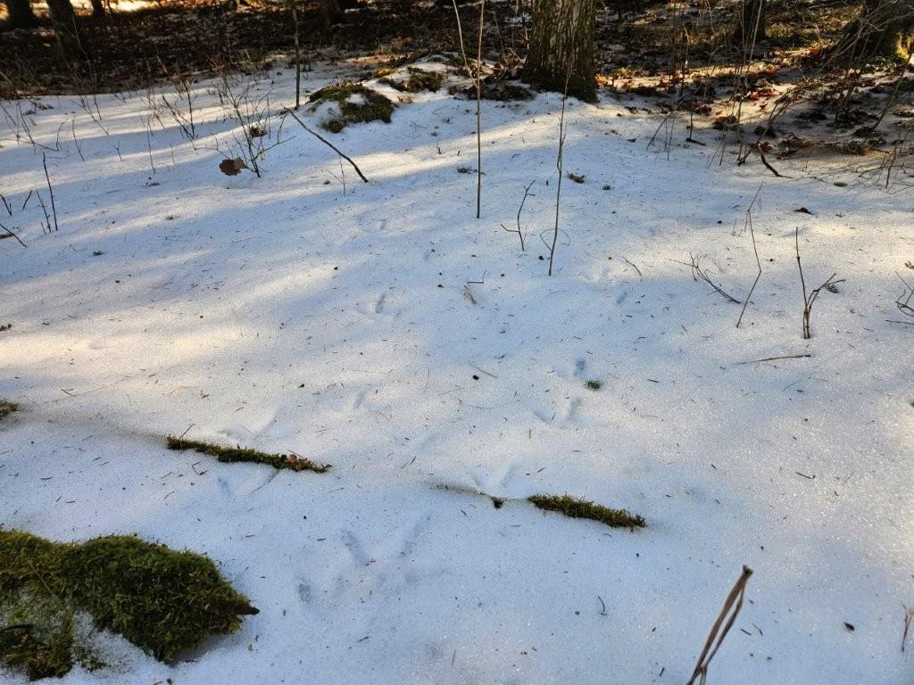 Tbd Seaberg Lane Bagley, MN 56621 - Photo 24 of 27