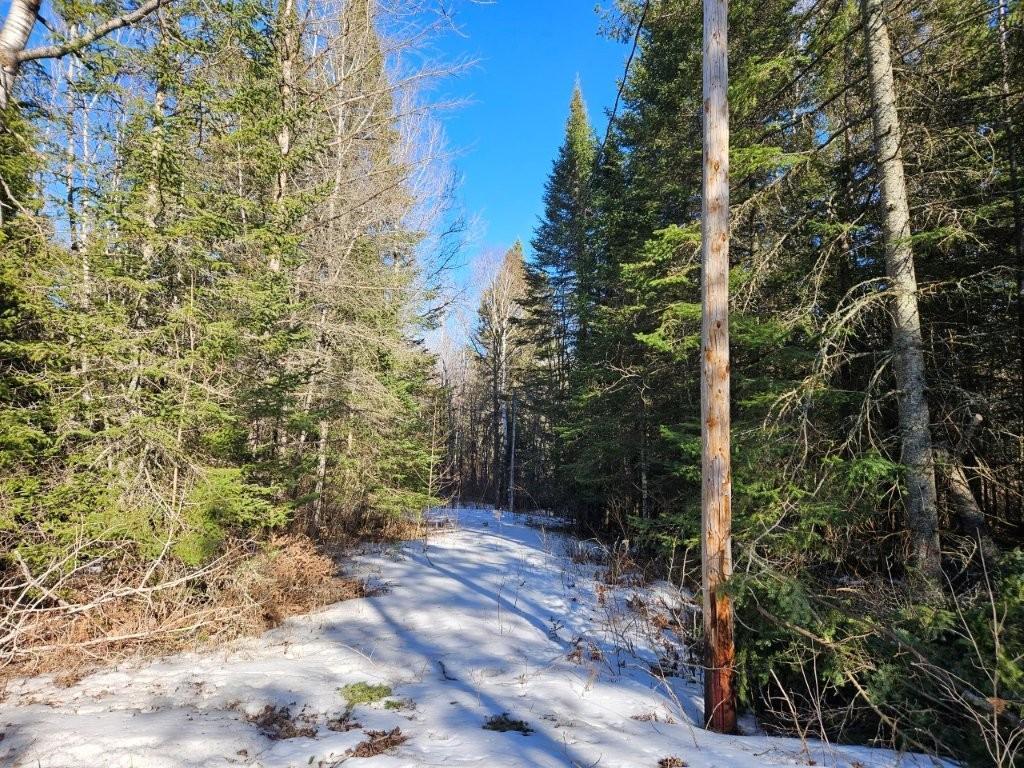 Tbd Seaberg Lane Bagley, MN 56621 - Photo 25 of 27