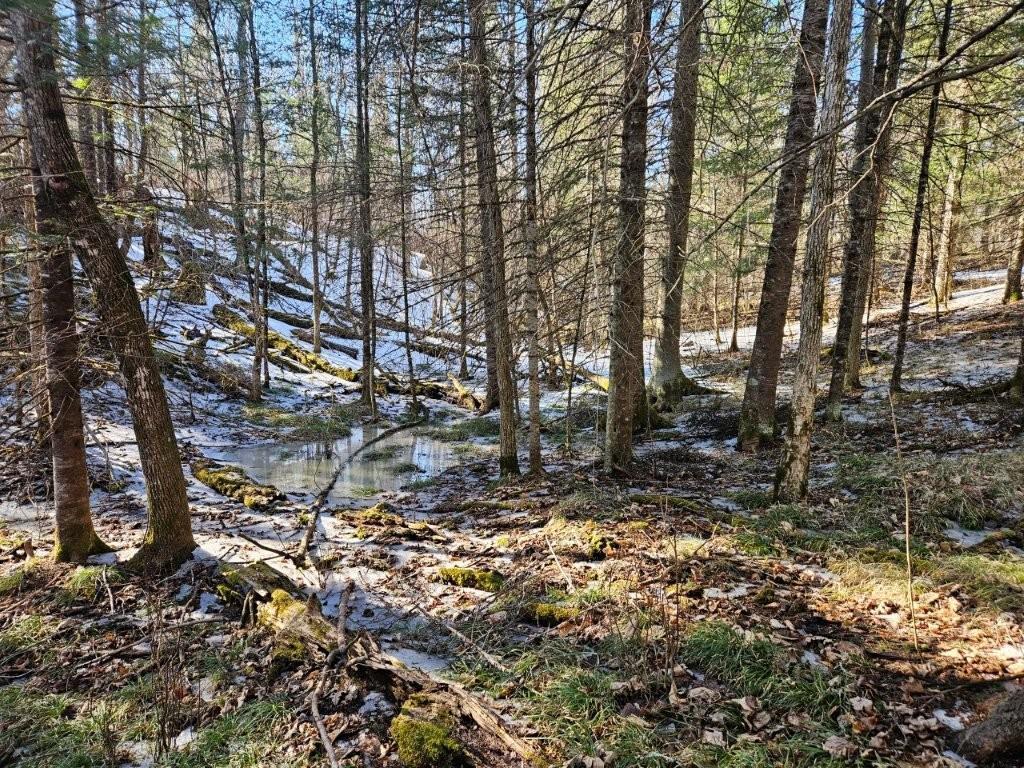 Tbd Seaberg Lane Bagley, MN 56621 - Photo 4 of 27