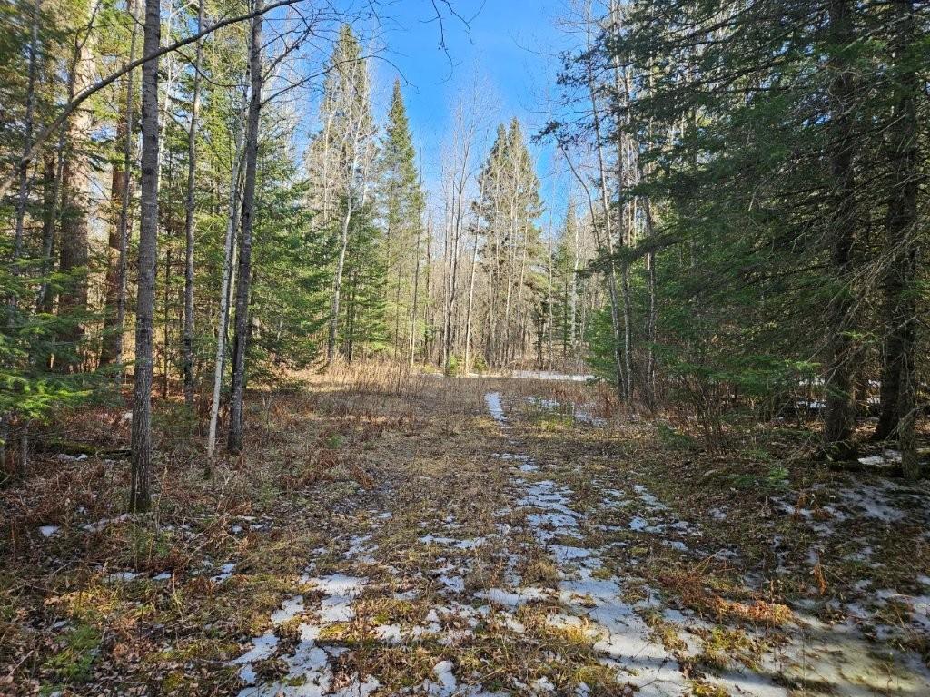 Tbd Seaberg Lane Bagley, MN 56621 - Photo 5 of 27