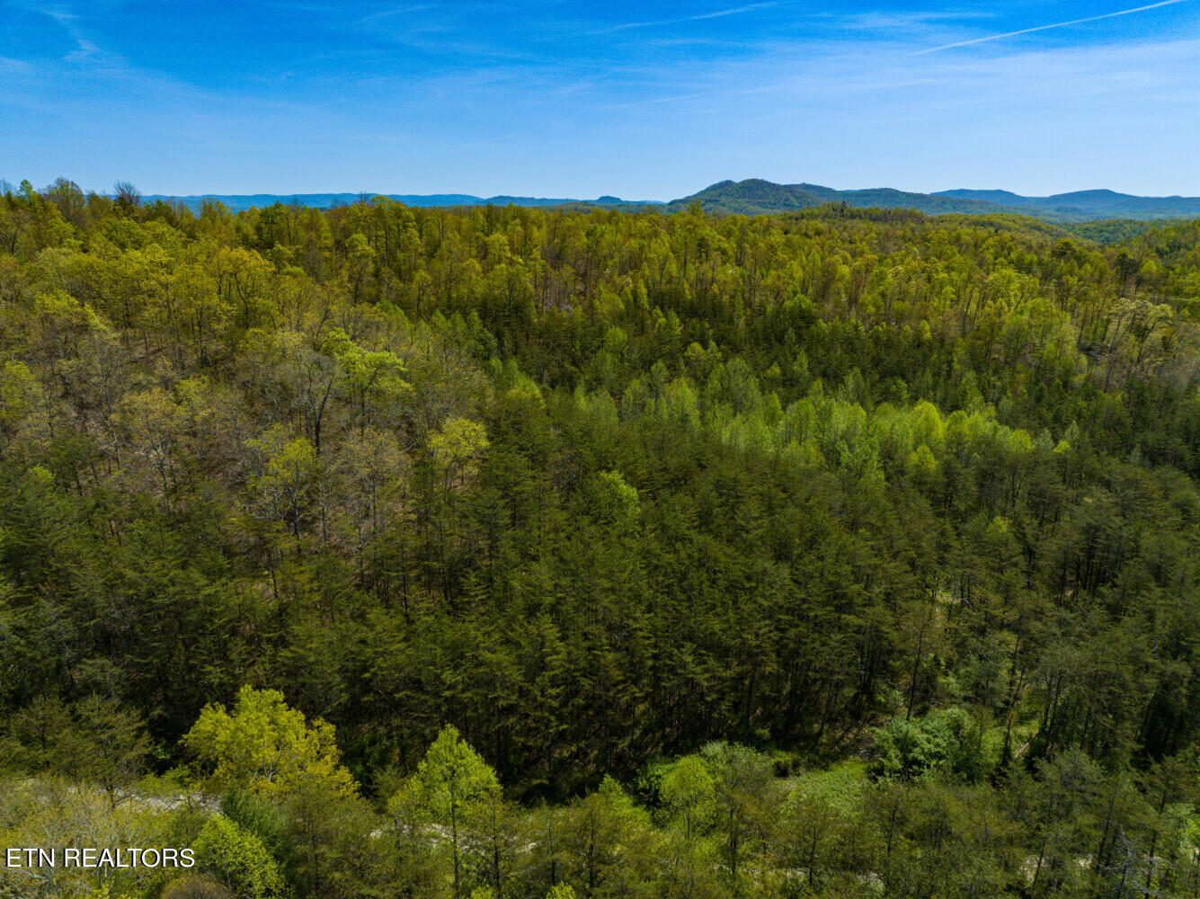 Lot 2 Big Four Road La Follette, TN 37766 - Photo 2 of 13 664c05dfd7b6f