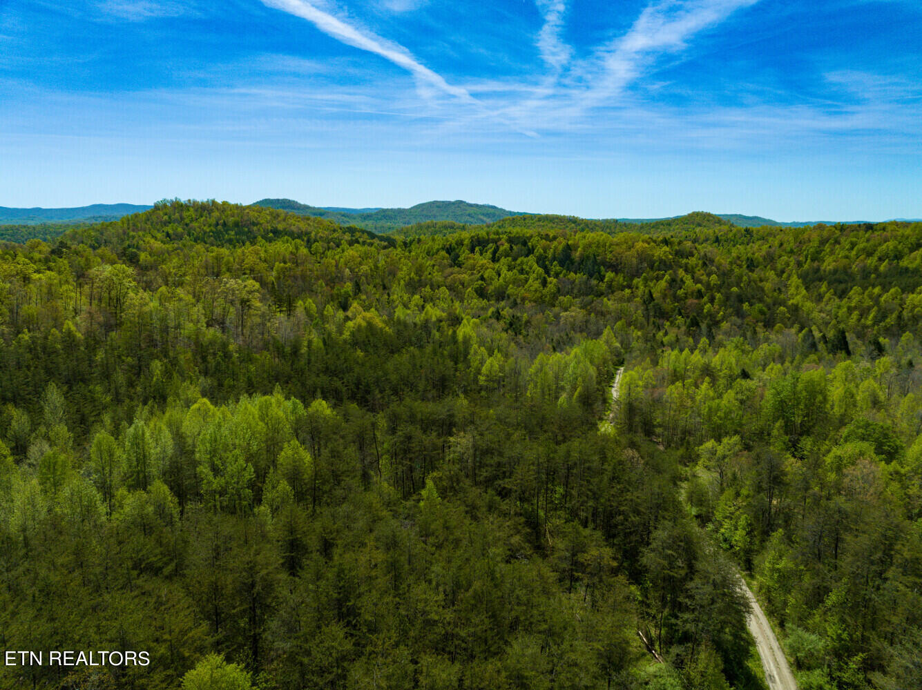 Lot 2 Big Four Road La Follette, TN 37766 - Photo 3 of 13 664c05f9974ed