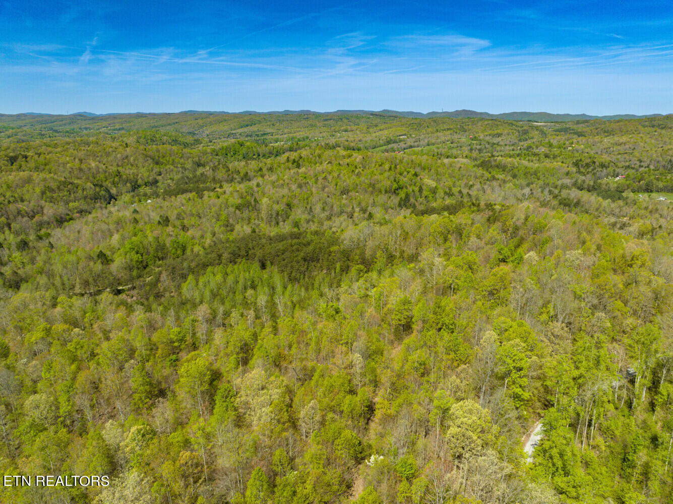 Lot 2 Big Four Road La Follette, TN 37766 - Photo 8 of 13 664c05395f904