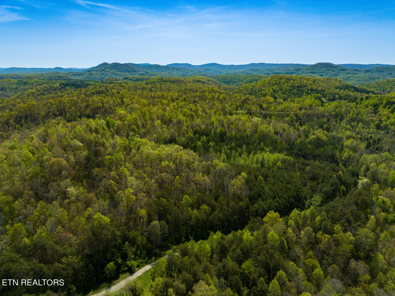 Lot 2 Big Four Road La Follette, TN 37766 - Photo 10 of 13 664c04eba45e1