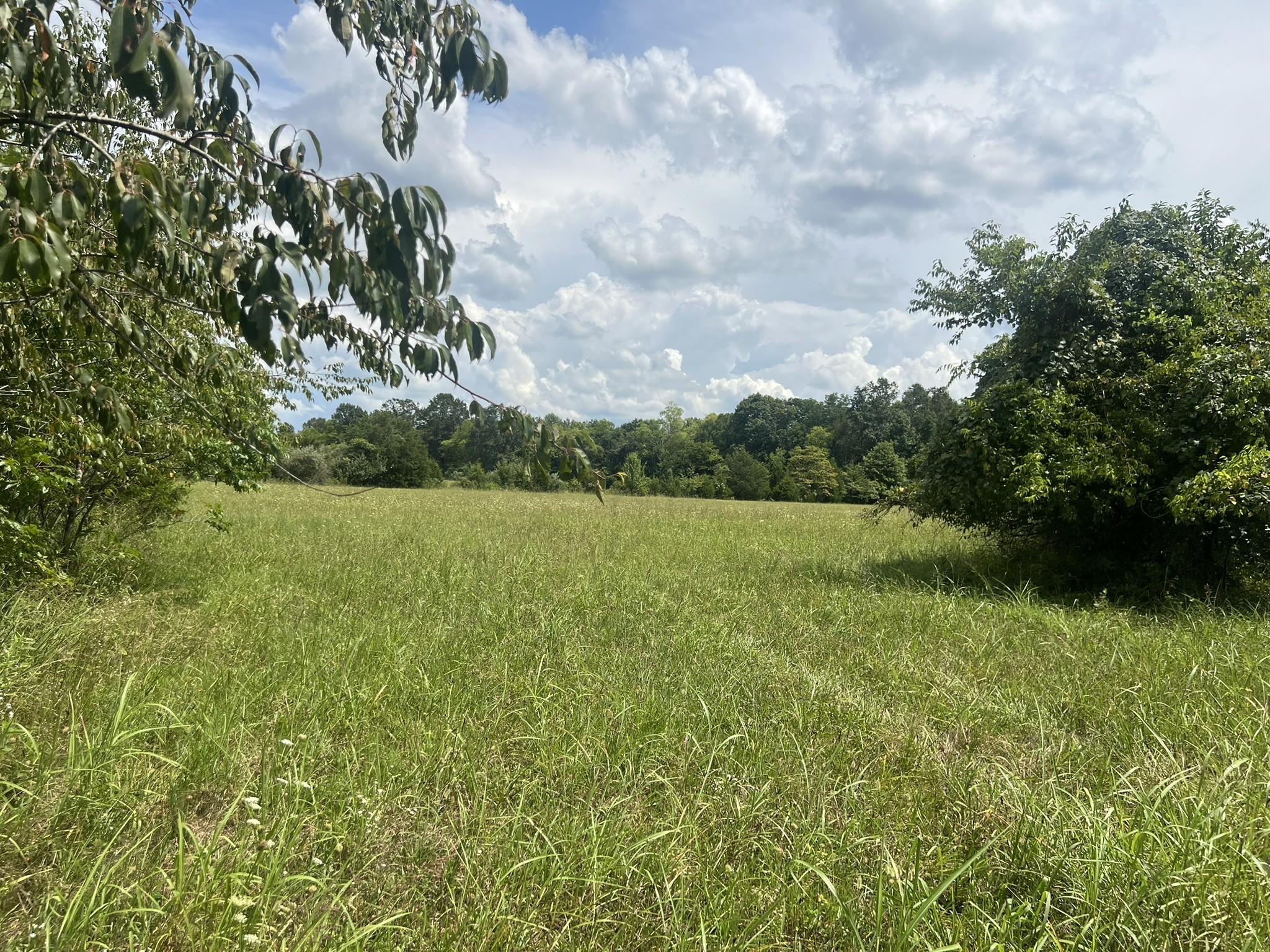 0 Martin Road Portland, TN 37148 - Photo 11 of 26 Gallery Image 11