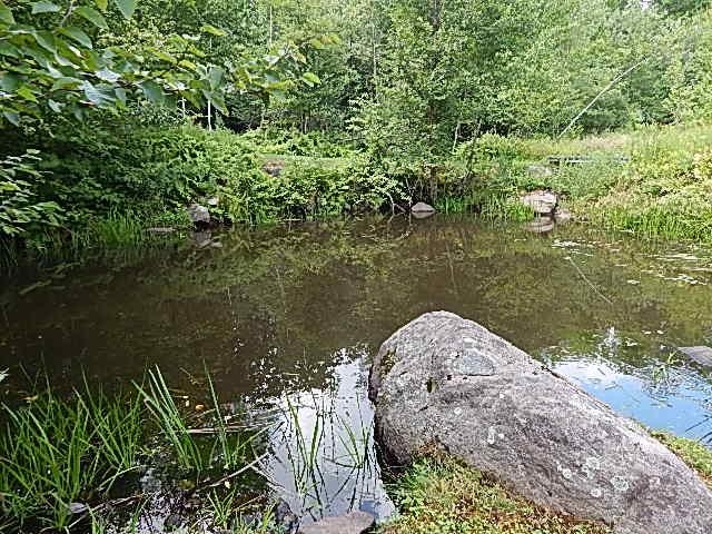 240 Rhododendron Road Fitzwilliam, NH 03447 - Photo 25 of 41