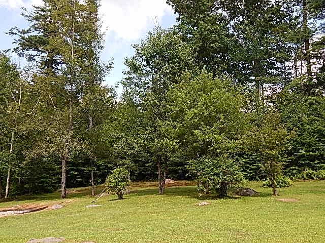 240 Rhododendron Road Fitzwilliam, NH 03447 - Photo 27 of 41