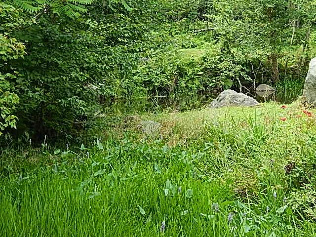 240 Rhododendron Road Fitzwilliam, NH 03447 - Photo 29 of 41