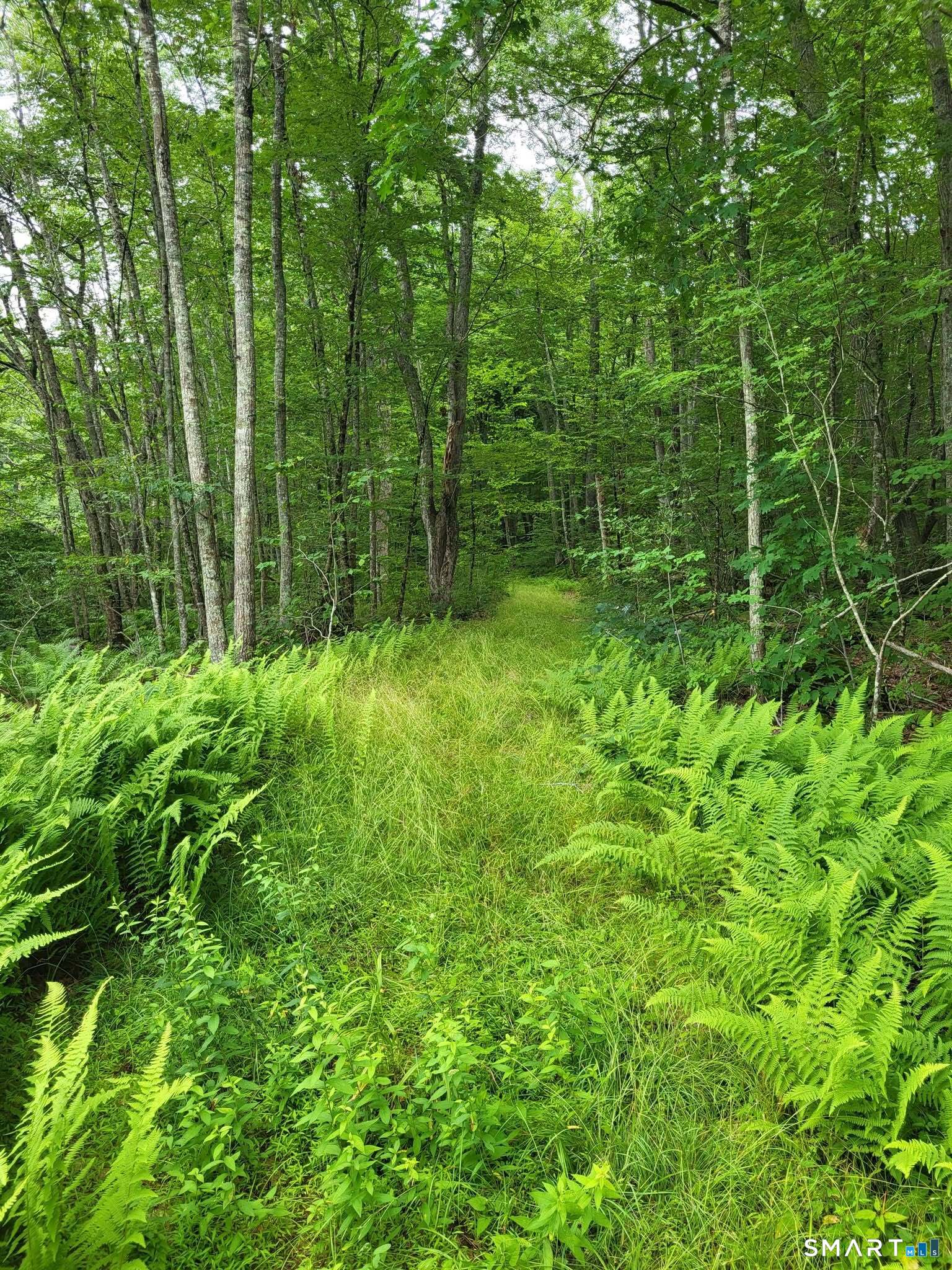 305 Tripp Hollow Road Brooklyn, CT 06234 - Photo 25 of 29