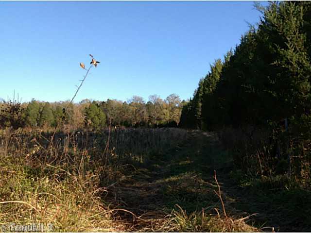 Land. View of cedar hedge row at driveway entrance.