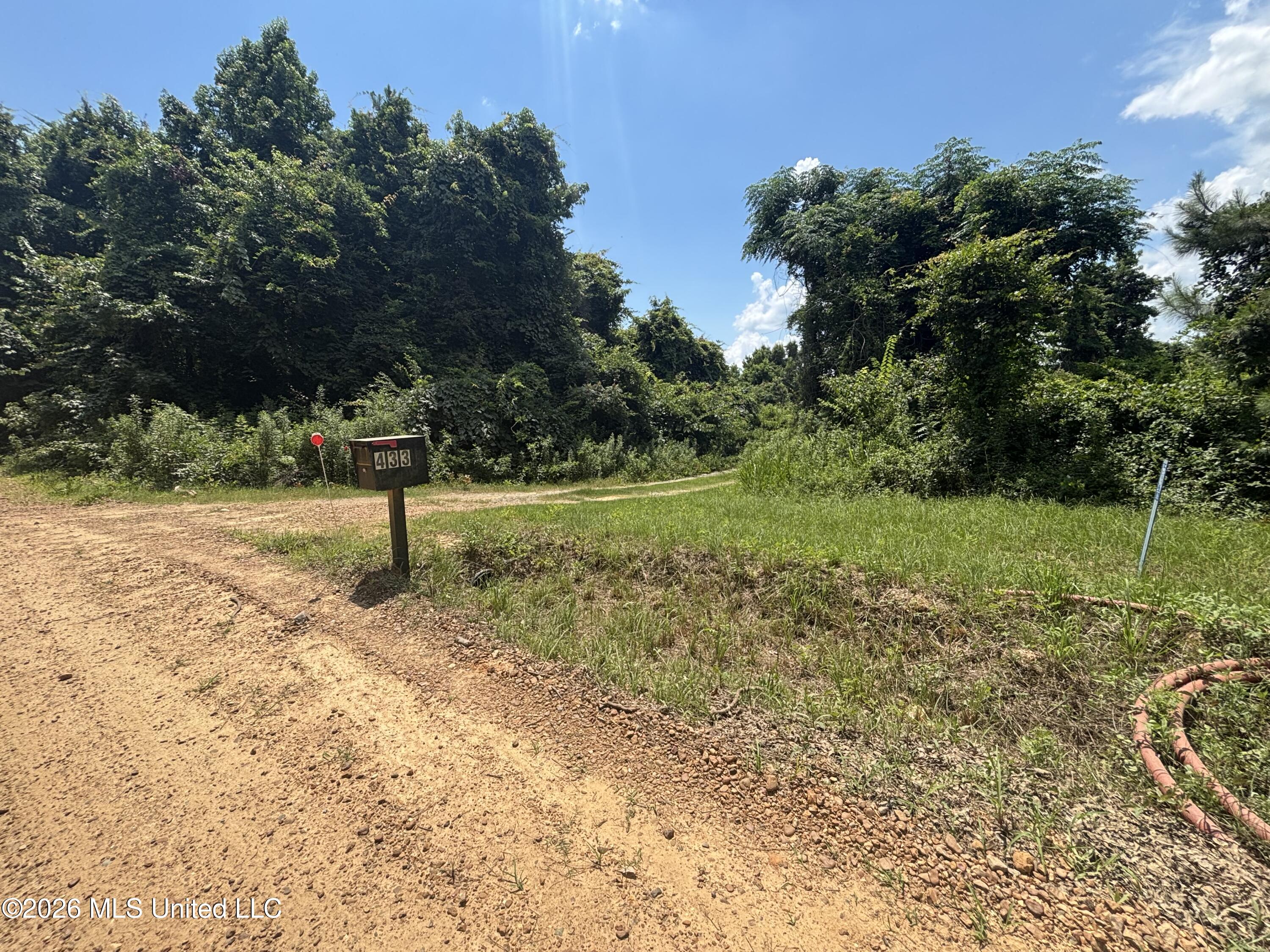 Firetower Road Camden, MS 39045 - Photo 2 of 12 IMG_4812