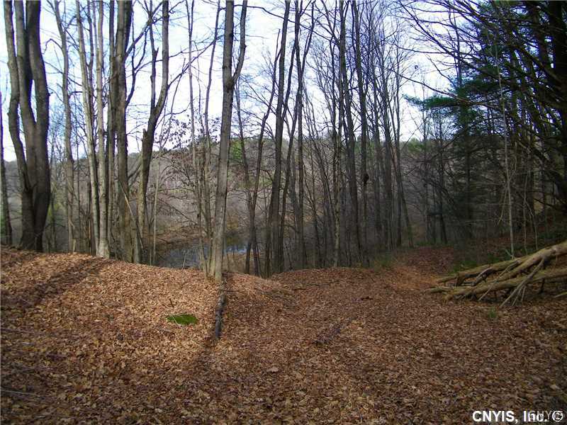 Lot #2 Buell Road Hastings, NY 13076 - Photo 2 of 3 Gallery Image 2