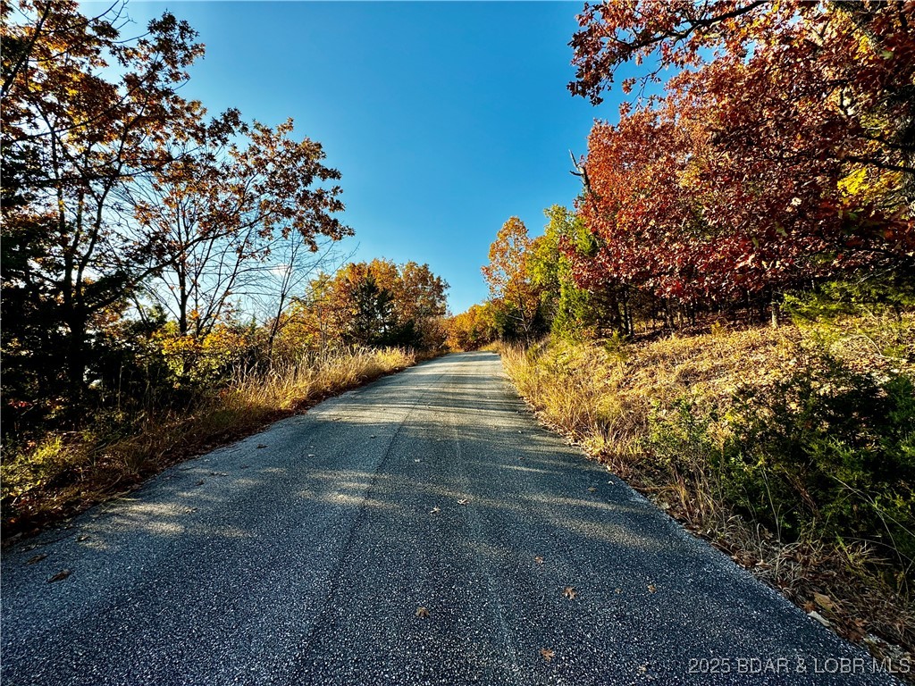 Lot 20 Lake Horizons Road Gravois Mills, MO 65037 - Photo 4 of 10