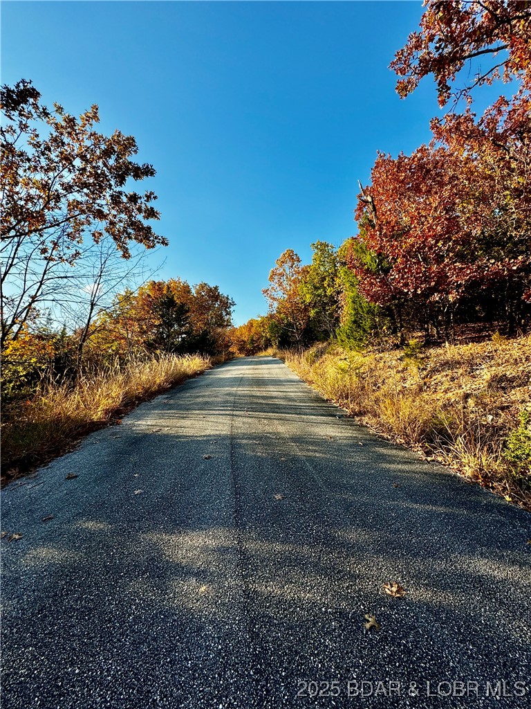 Lot 20 Lake Horizons Road Gravois Mills, MO 65037 - Photo 5 of 10