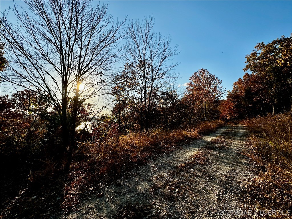 Lot 20 Lake Horizons Road Gravois Mills, MO 65037 - Photo 6 of 10