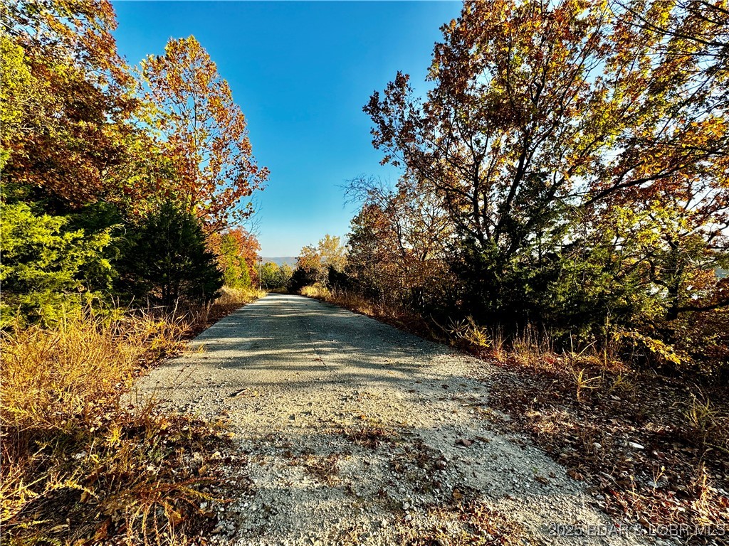 Lot 20 Lake Horizons Road Gravois Mills, MO 65037 - Photo 7 of 10