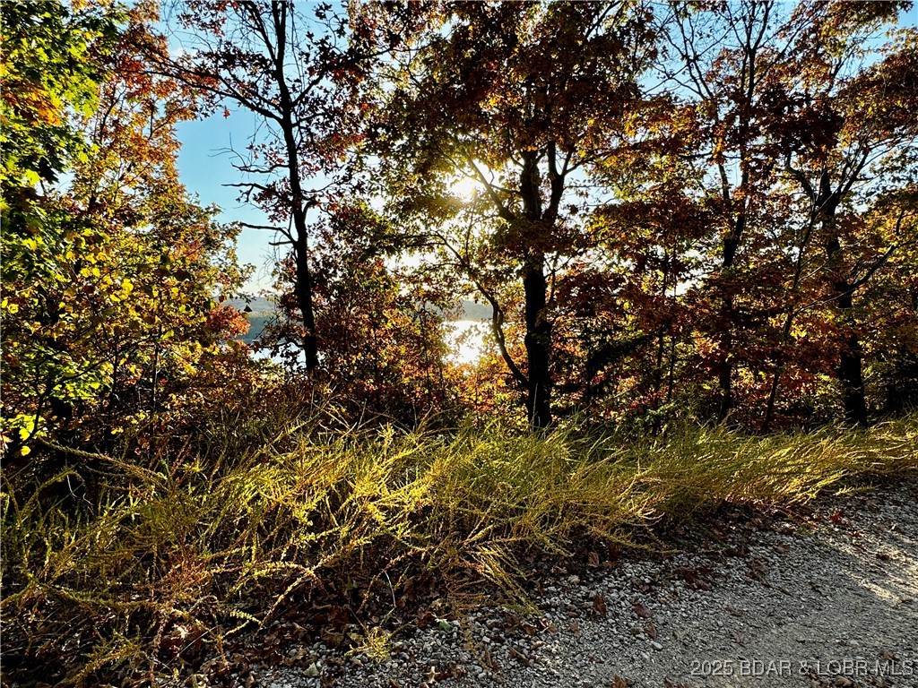 Lot 20 Lake Horizons Road Gravois Mills, MO 65037 - Photo 8 of 10