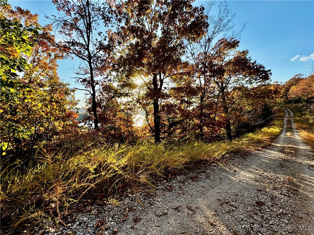 Lot 20 Lake Horizons Road Gravois Mills, MO 65037 - Photo 9 of 10