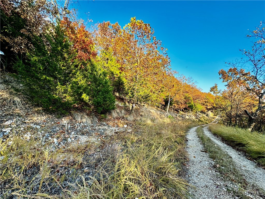 Lot 20 Lake Horizons Road Gravois Mills, MO 65037 - Photo 10 of 10