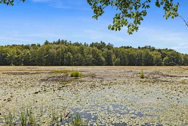 a view of a lake with houses in the back