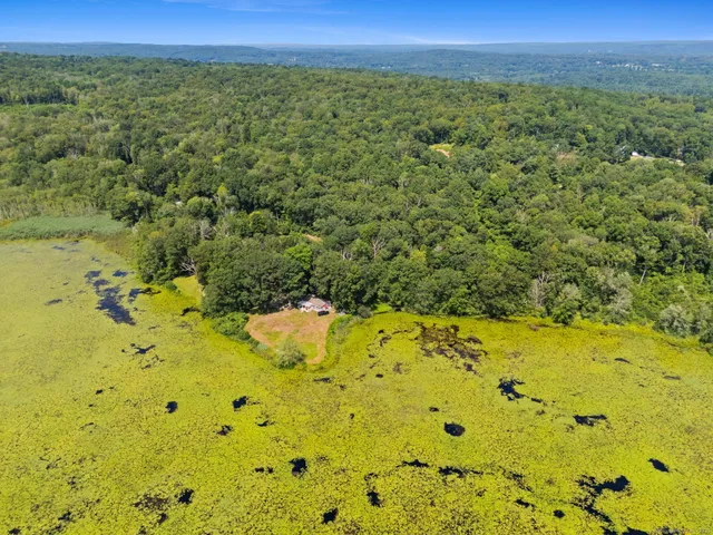 a view of a large yard with lots of trees