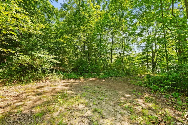 a view of a yard with a tree