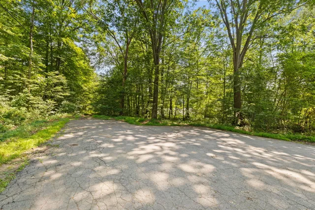 a view of a yard with plants and trees