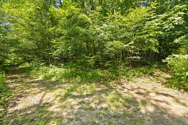a view of a yard with a tree