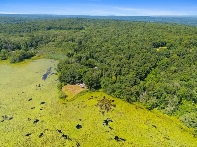 a view of a large yard with lots of trees