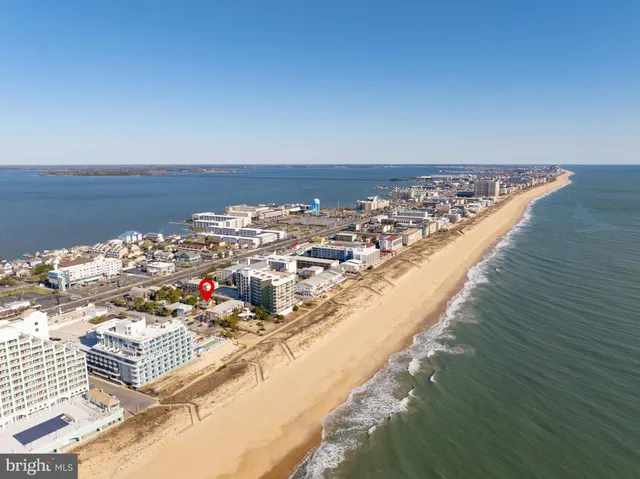a view of a white house with large windows and flower plants