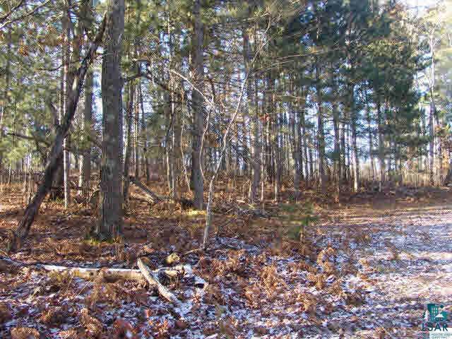 67975 East Deep Lake Road Iron River, WI 54847 - Photo 7 of 7
