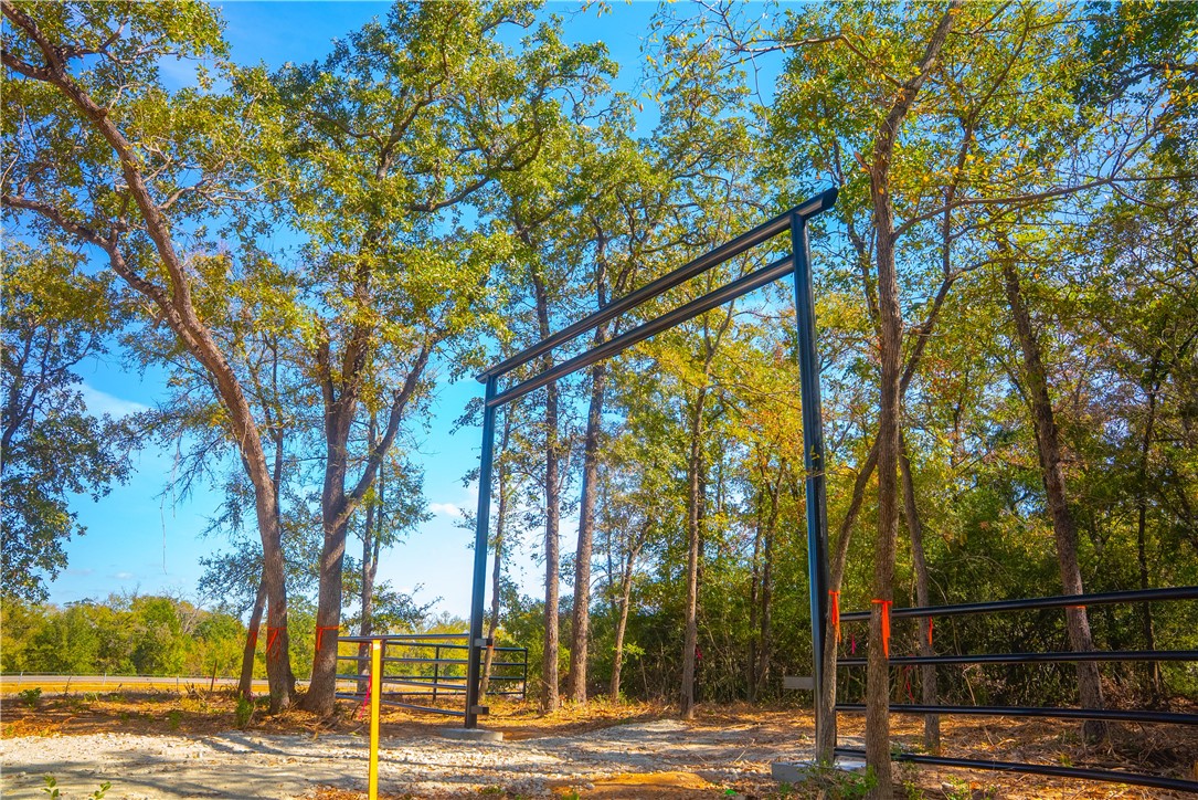 12428 Red Hill Road Hearne, TX 77859 - Photo 2 of 13 a view of a yard with plants and trees